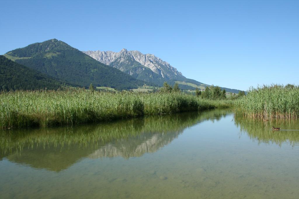 Pension Essbaum Apartman Walchsee Kültér fotó